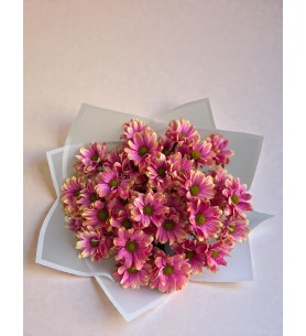 Sunset Daisy – Çift Renk Papatya Buketi